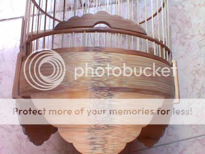 Lồng tre già dành cho chào mào- than- đất- yến- lửa- mi........