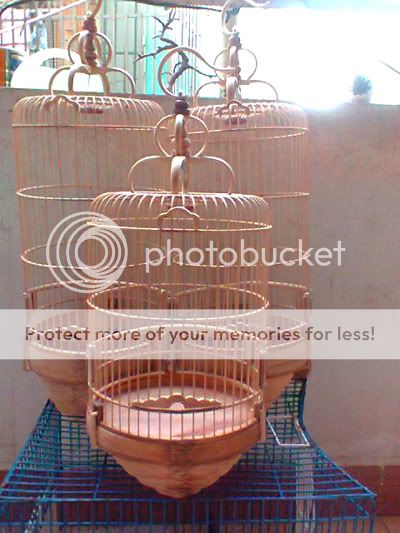 Lồng tre già dành cho chào mào- than- đất- yến- lửa- mi........ - 2