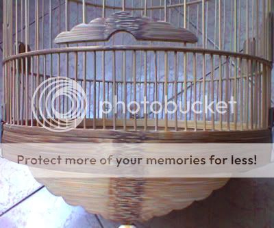 Lồng tre già dành cho chào mào- than- đất- yến- lửa- mi........ - 37