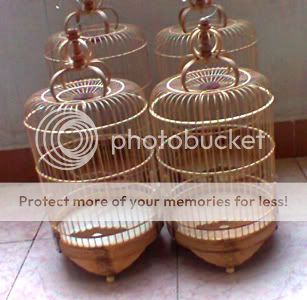 Lồng tre già dành cho chào mào- than- đất- yến- lửa- mi........ - 36