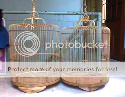 Lồng tre già dành cho chào mào- than- đất- yến- lửa- mi........ - 28