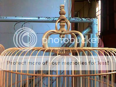 Lồng tre già dành cho chào mào- than- đất- yến- lửa- mi........ - 35