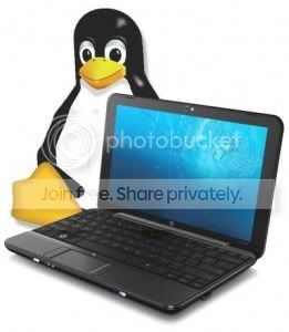 Sistemas Operativos para os Netbooks