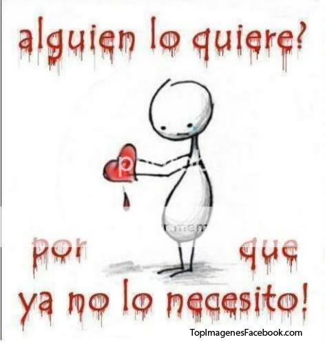imagen imagen
